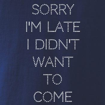 Sorry I am late i didn't want to come