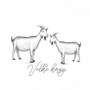 Velké kozy