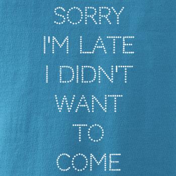 Sorry I am late i didn't want to come