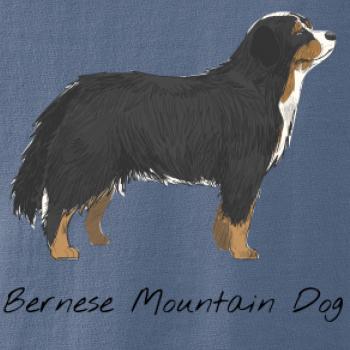 Bernese mountain dog kreslený