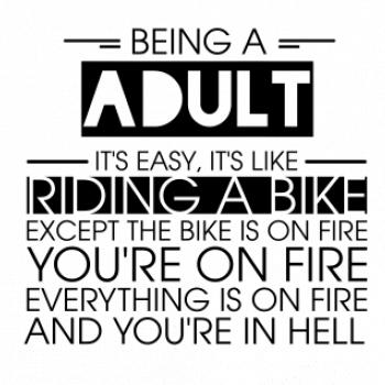 Being a adult - bike