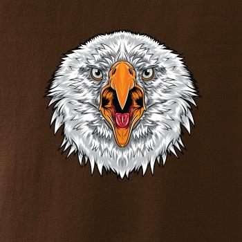  Hlava rozhnevaného orla