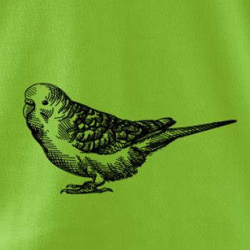 Ceruzkou kreslený Papagáj