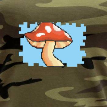 Gamer - stará hra - huba