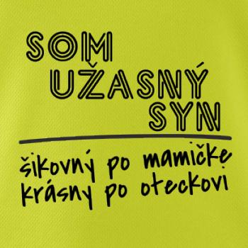 Som úžasný syn