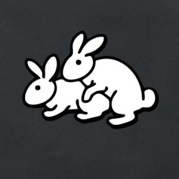 Dupkajúce králiky Dupkajúce králiky