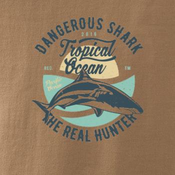 Dangerous Shark Dangerous Shark