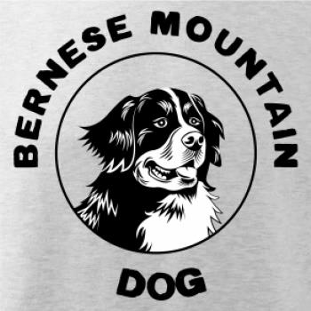 Bernese mountain dog v kruhu