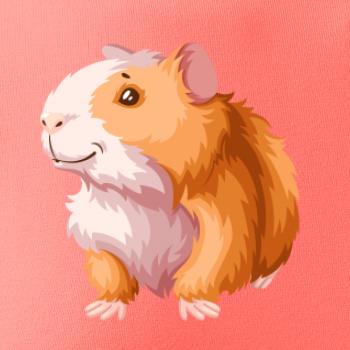 Morča - kreslené, bielo oranžové Morča - kreslené, bielo oranžové