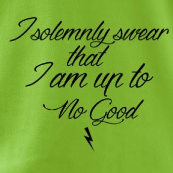 I solemnly swear that I'm up to no good