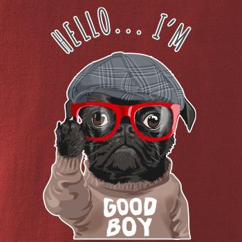 Mops - Hello I'm Good boy