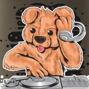 DJ Teddy
