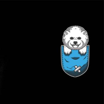 Bišónik v kapsičke