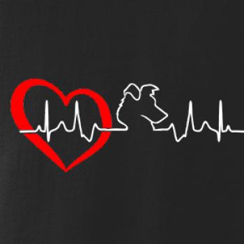 Borderská kólia EKG