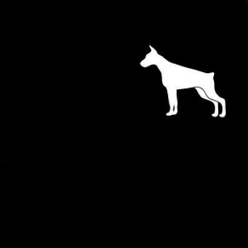 Doberman ikona prsník