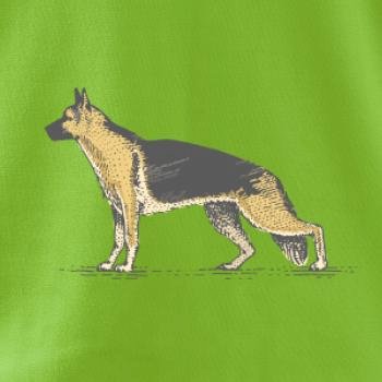 Vintage German shepherd