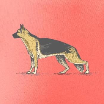 Vintage German shepherd