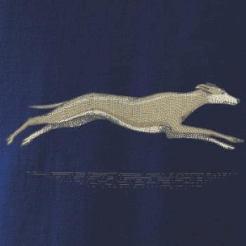 Vintage Greyhound