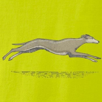Vintage Greyhound