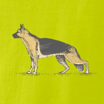 Vintage German shepherd