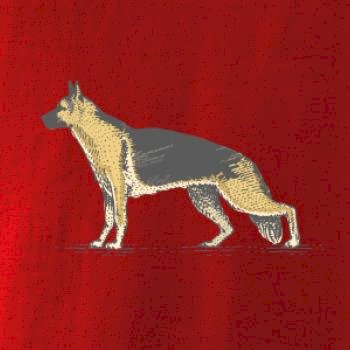Vintage German shepherd
