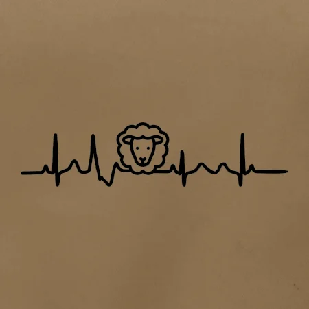 Ekg ovce