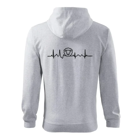 Ekg ovce
