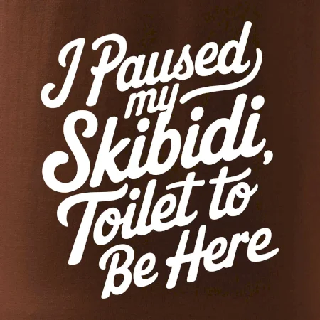 I Paused My Skibidi Toilet to be Here