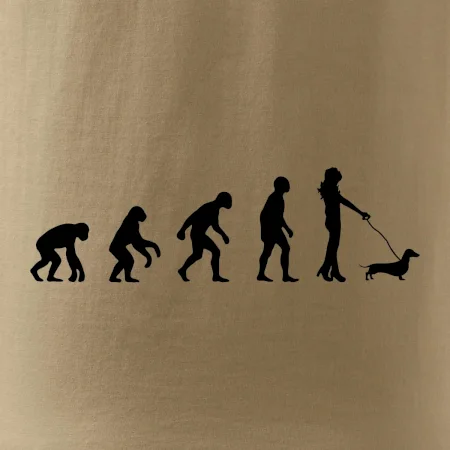 Jazvečík Evolúcia žena