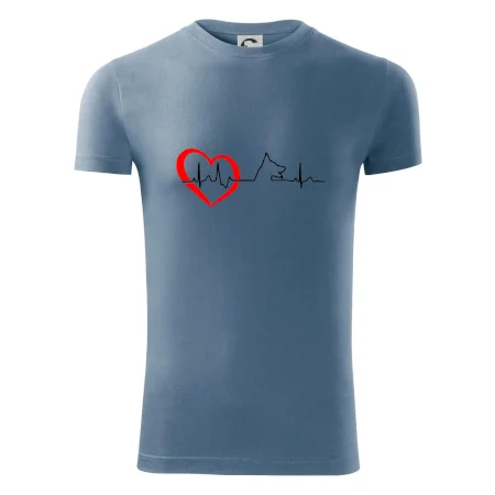 Nemecký ovčiak ekg