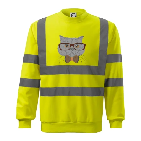 Hipster britská modrá