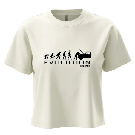 Evolúcia mechanik
