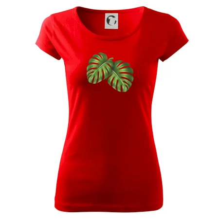 Monstera - dva listy