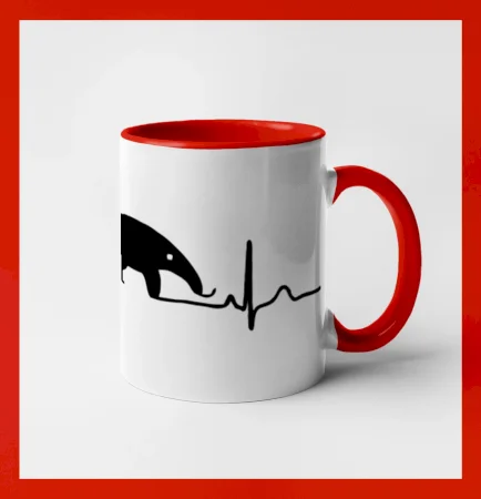 Mravčiar EKG