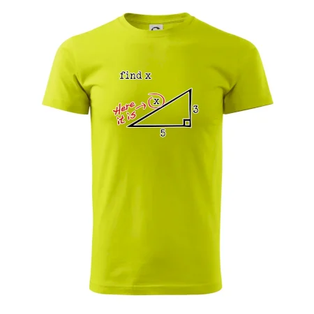 Find X - geometria