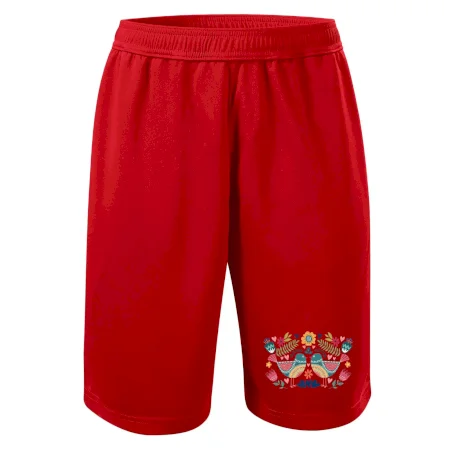 Folklór - dva farebné vtáčiky