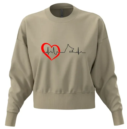 Nemecký ovčiak ekg