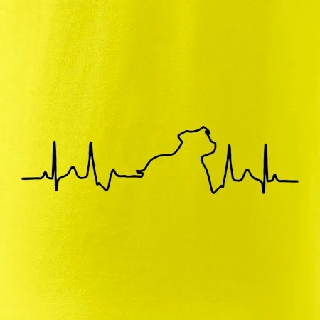 Stafordšírsky bulteriér ‎ EKG