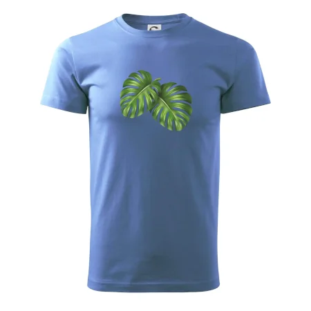 Monstera - dva listy