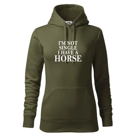 I have a horse
