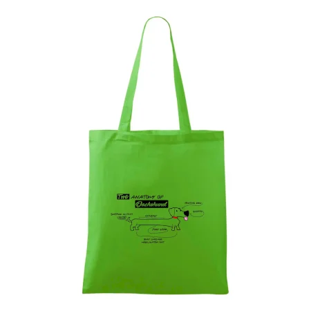 Jazvečík - Anatómia