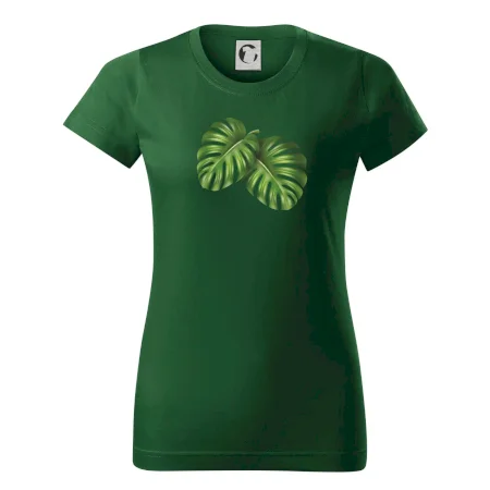 Monstera - dva listy