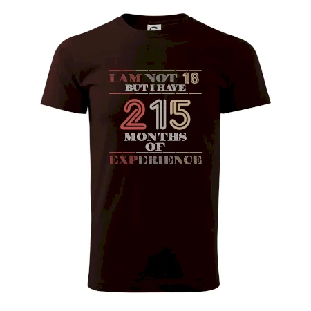 18 years 215 months of experience