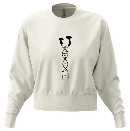 DNA huby