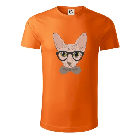Hipster sphynx