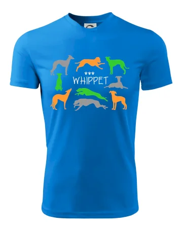 Whippet farebný