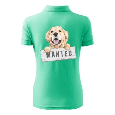 Zlatý retriever - šteniatko wanted
