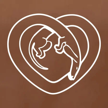 Jazvečík srdca - obrys