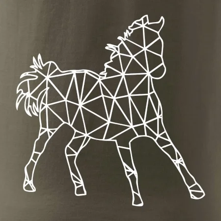 Geometria - kôň jednofarebná