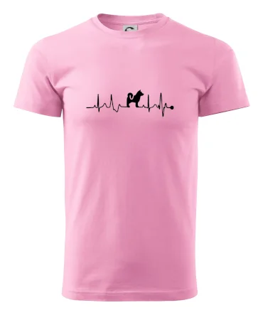 Shiba-Inu EKG